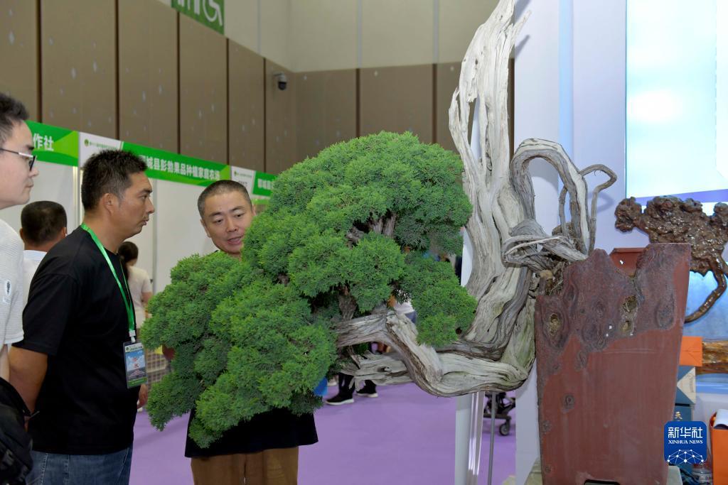 约友棋牌怎么了